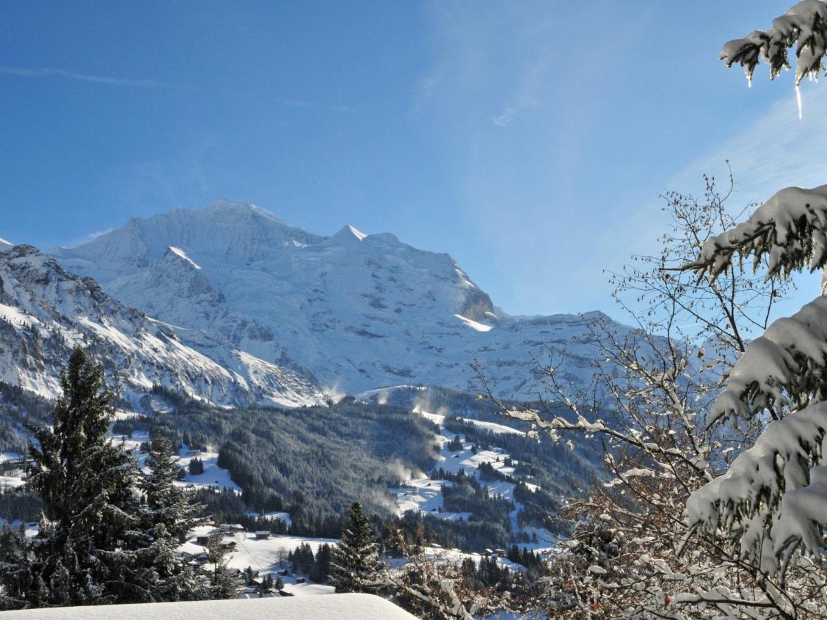 Apartment Bristol Apt-K By Interhome Wengen Zewnętrze zdjęcie